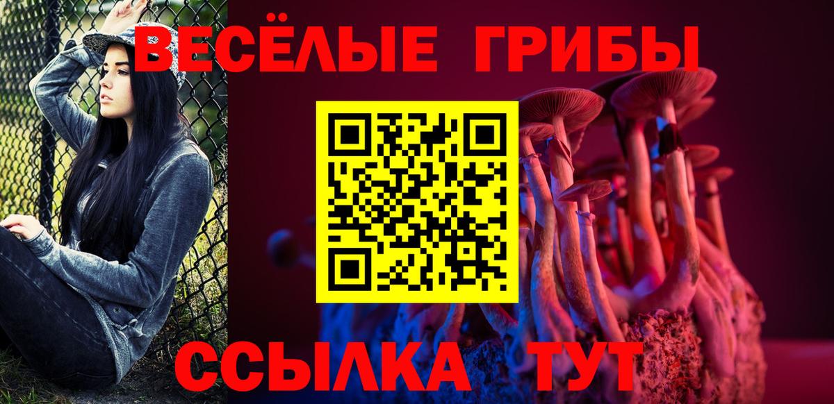 Псилоцибиновые грибы Magic Shrooms Дербент
