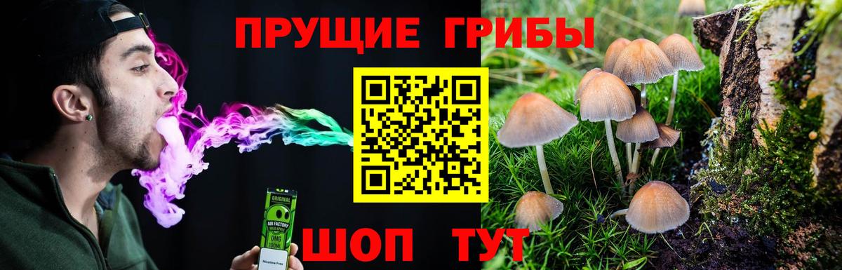 Псилоцибиновые грибы MAGIC MUSHROOMS  Вход с VPN  Дербент 